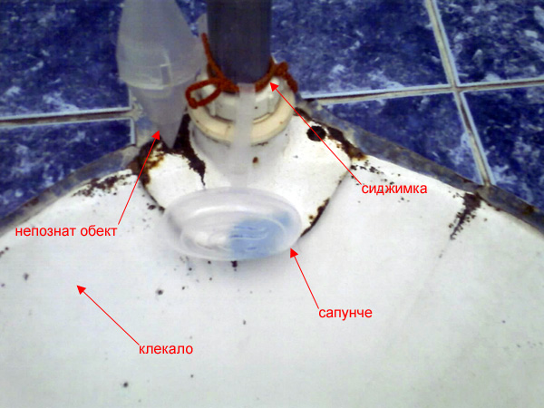По български