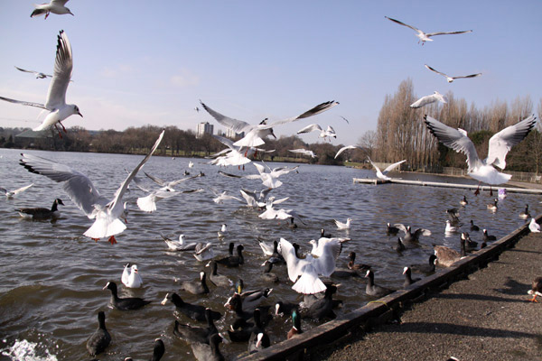 Пътепис Лондон Мейдънхед